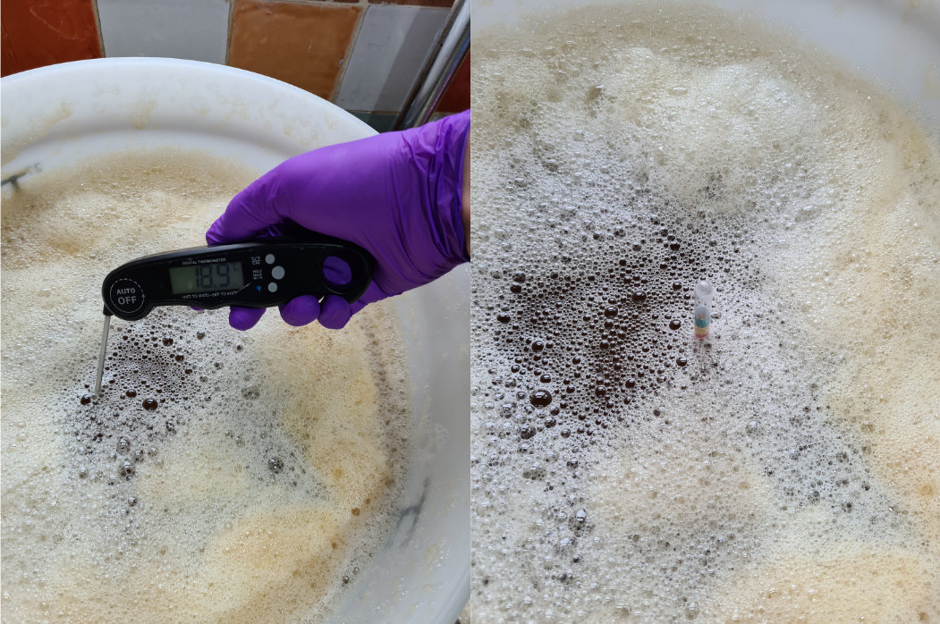 Taking the temperature and specific gravity reading