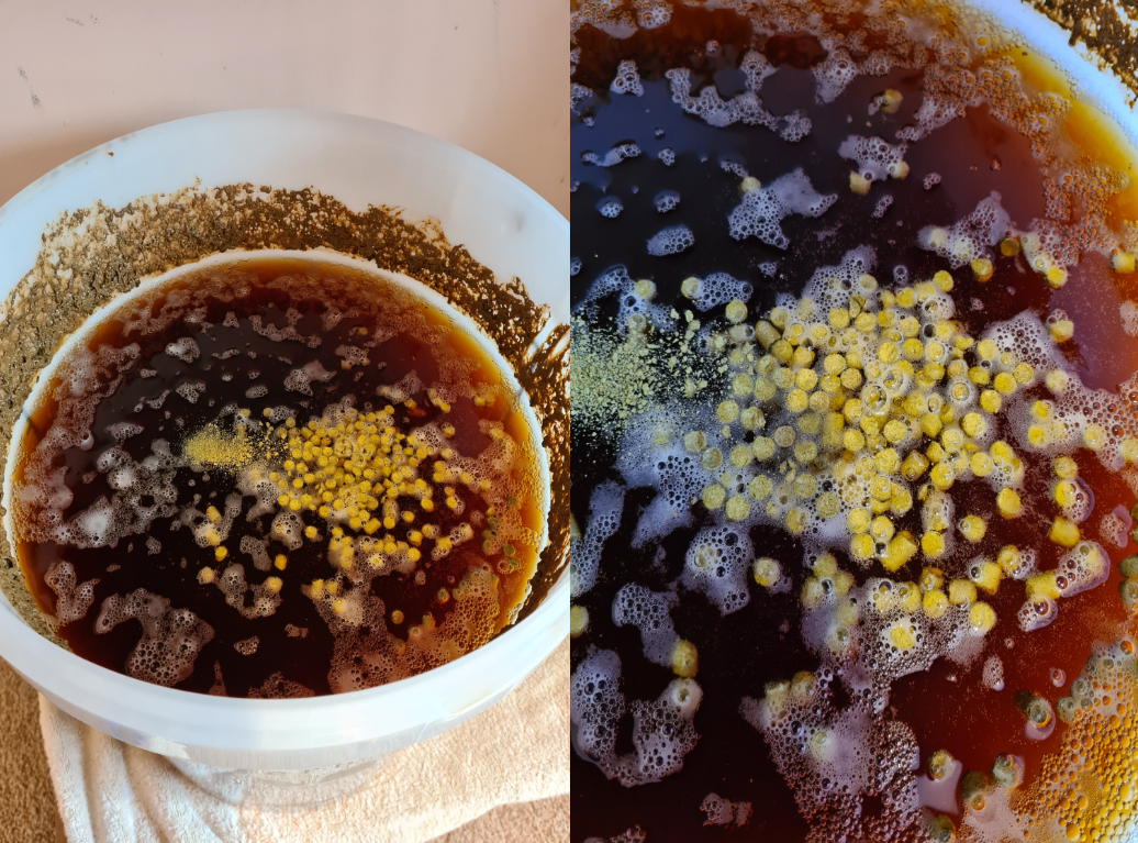 Adding the hop pellets